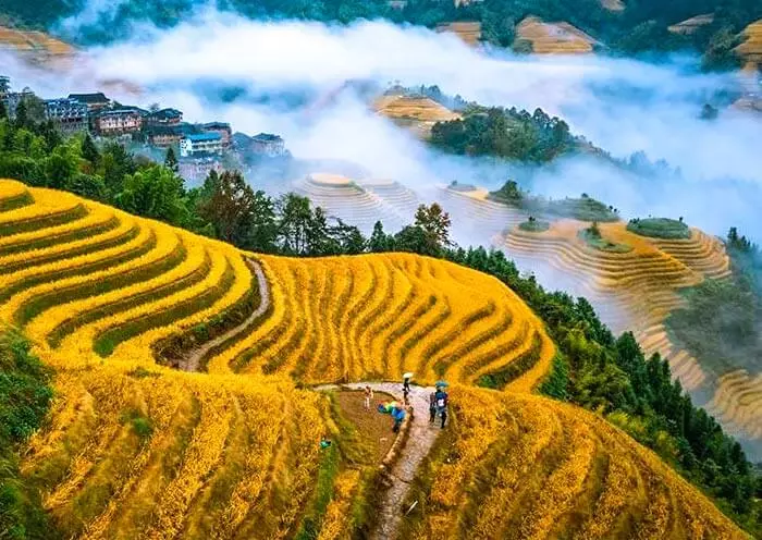 5 Days Amazing Guilin Tour